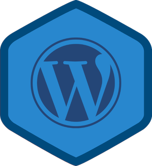 WordPress Setup and Foundations