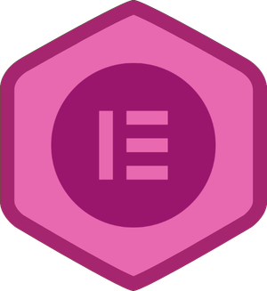 Building Your Website with Elementor