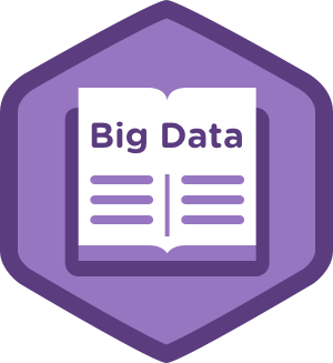 Introduction to Big Data Course